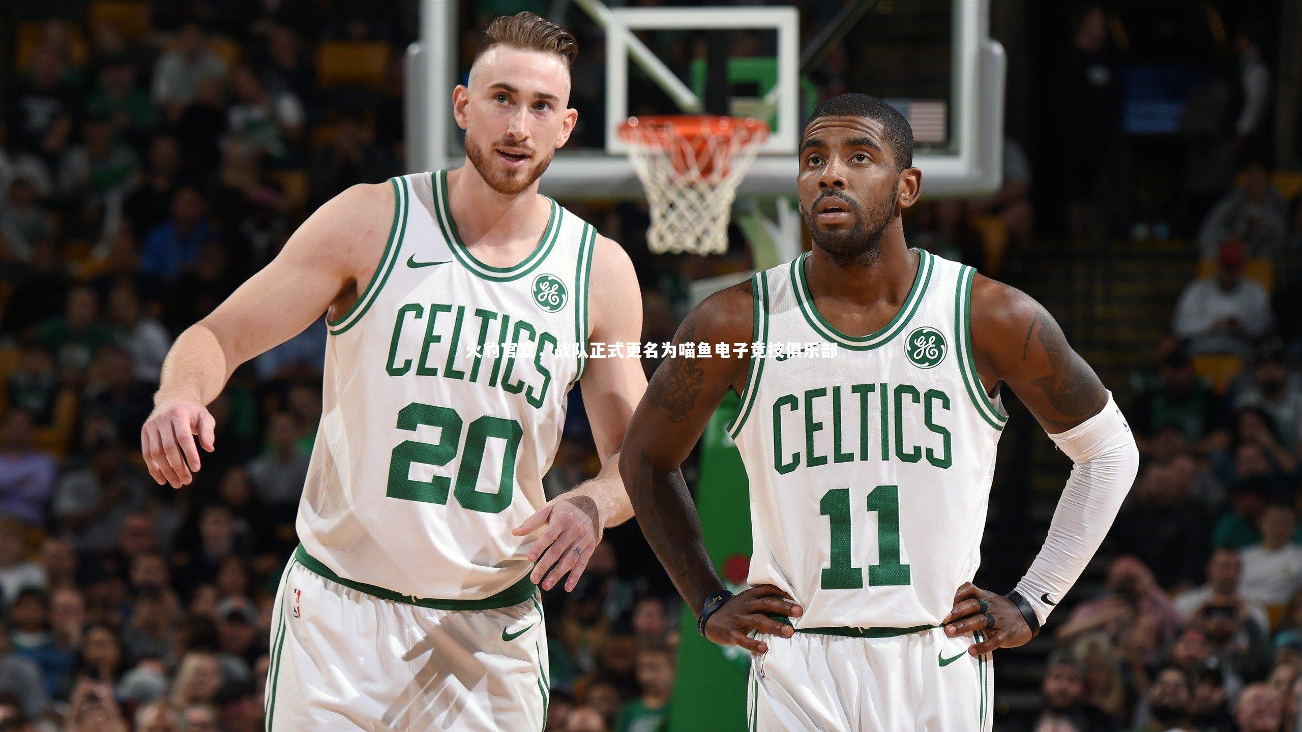 金年会入口-火豹官宣，战队正式更名为喵鱼电子竞技俱乐部